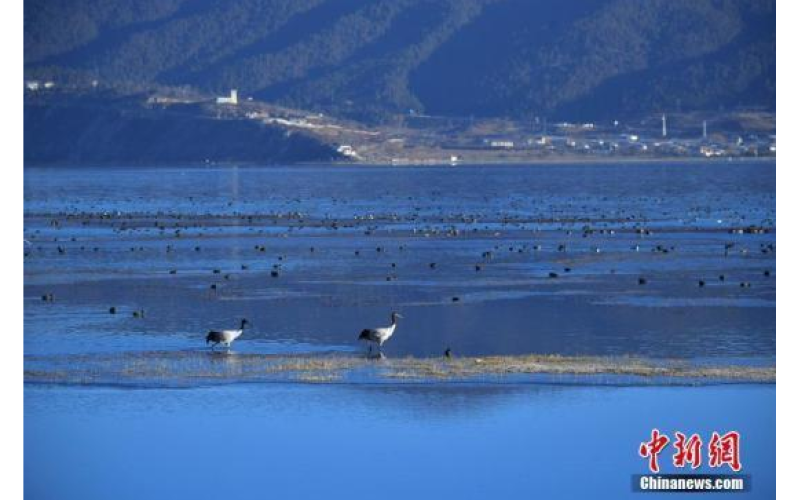 發(fā)改委要求：分階段研究提出美麗中國建設(shè)預(yù)期目標(biāo)